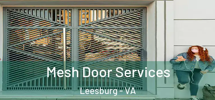 Mesh Door Services Leesburg - VA